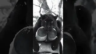 😍
