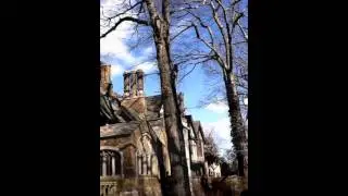 Tree-Tech Inc. at MIM