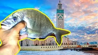 أجي تشوف كفاش كنشد الحوت مسجد الحسن الثاني