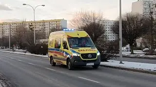[Fiamm] Alarmowo: S02 448 - Ambulans (P) - Mercedes-Benz Sprinter 419 CDI/WAS - WSPR Katowice 