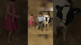 COW PRESENT // LOL JUST FOR LAUGHS