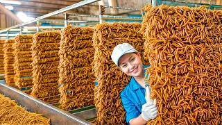 Billion-Pound BUG Farms?! 🤯 Inside the Secret World of Edible Insects (Crickets, Larvae & MORE!)