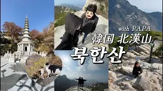 父と韓国で登山してみた🏔feat.猫