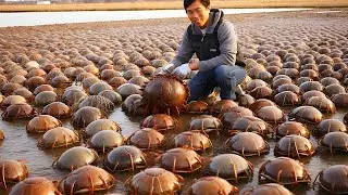 100 Unusual Animals That People Don't Eat
