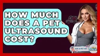 How Much Does A Pet Ultrasound Cost? - Ask A Pet Vet