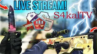 Facem 25k pe PREMIER?😱😱😱 #Bucllg #S4kalTV #csgolive #faceitlive