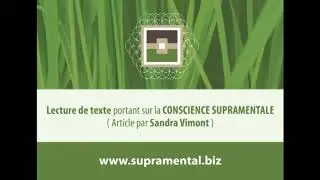 Article 112 - La force de la vuln&eacute;rabilit&eacute; - par Sandra Vimont