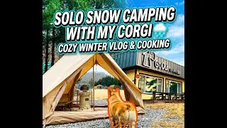 Solo Snow Camping with my Corgi 🌨️ Cozy Winter Vlog & Cooking