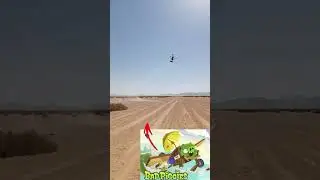 The real angry birds 😂.       #chistes #comedy #fails #memes #funny #shorts #like #love