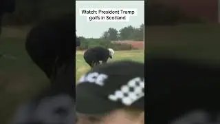 WATCH: President Trump golfing in Scotland