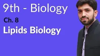 Matric part 1, Lipids Biology - Ch 8 Nutrition - 9th Class Biology