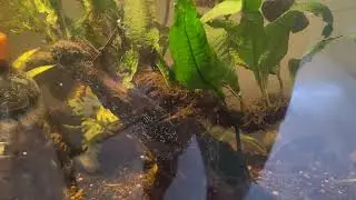 Water polish after water top off and sand cleaning 