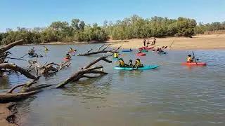 Follow the Leader Bayulu