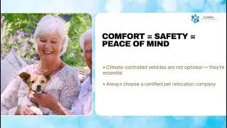 Pet Relocation: Why Temperature-Controlled Vehicles Matter