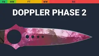 Skeleton Knife Doppler Phase 2 - Skin Float And Wear Preview