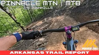 PINNACLE MTN DOWNHILL EDITION | MTB | ATR