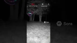 Unseen Creature Emerges in Infrared! (Unexpected Movement Caught on Night Vision) 👁&zwj;🗨🌑