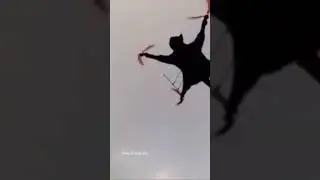 🥶Helicopter Cat😳