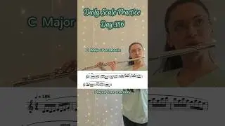 Daily Scale Practice: Day 356 #flute #flutepractice #flutescales