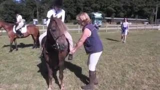 A Devon Pony Club Camp