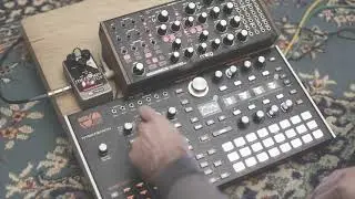 double blind || generative ambient w/Hydrasynth and Subharmonicon
