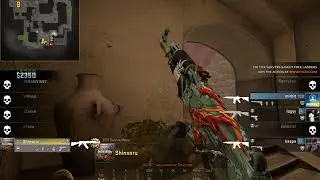 Ace vs Mirbit  (German Pro Player)