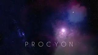 OP-Z Performance: Procyon