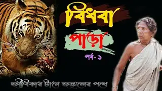 বিধবা পাড়া | বিধবা গ্রাম | Bidhoba Widow's estate in sundarban | sundarban village life | sundarbans