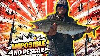 &iexcl;ENORMES PECES! muerden mi JIG PESCA de INSHORE en bote en las costas MEXICANAS!