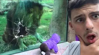 the glass wasn&rsquo;t strong enough&hellip;