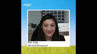 Illustrating New World Development&rsquo;s ESG journey with investors