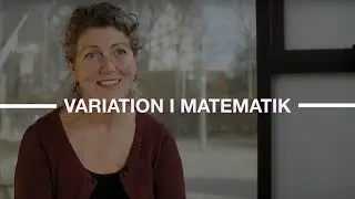 Format til mellemtrinnet