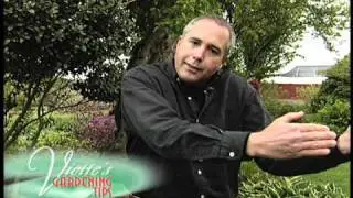 Viette Gardening Tip - Curved Flower Beds