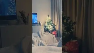 #happy newyear #2025 #новыйгод2025 #christmas #music #song #lyrics #рек #singer #концерт #рек