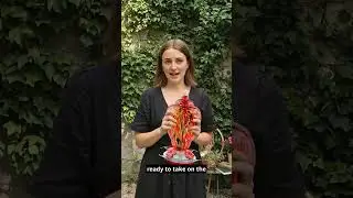Кормушки для колибри из выдувного стекла