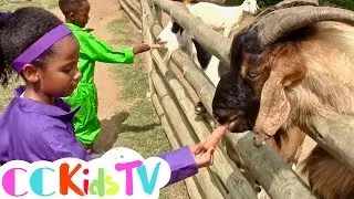 Old MacDonald Had A Farm - Old MacDonald Song - CC Kids TV