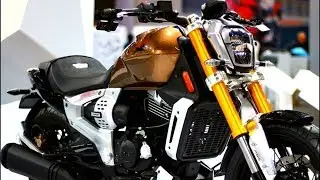 TVS Zeppelin Cruiser Concept | Auto Expo 2018 |
