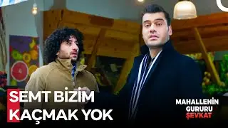 Kralını Silen, Soytarısıyla Uğraşmaz - Mahallenin Gururu Şevkat