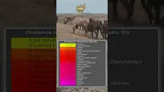 Descendants of Steppe Saka Scythians #scythian #dna