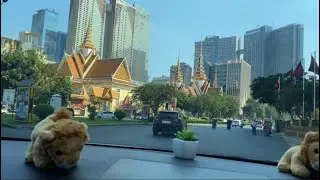 Driving Cambodia 🇰🇭 