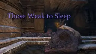 Those Weak to Sleep Dragon's Dogma Dark Arisen