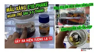 Xăng E10 sau 4-5 tháng trữ, bình xăng con ăn mòn, Đồng Nhôm Thép cao su bị oxi hóa | Lightvspy