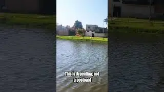 This place is in Argentina 😮🌳 Laguna Arg&uuml;ello