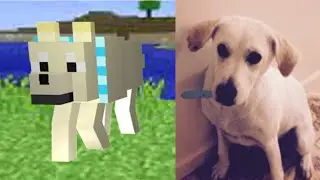 The Finemanederby Puppy!!