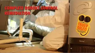 COMPLETE RODENT CONTROL - REMEDIATION