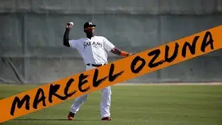 Marcell Ozuna 2017 Highlights [HD]