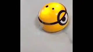 megamoderna.com - Brinquedo Pet