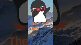 Penguin Giggles for Little Wiggles 🐧😆 4