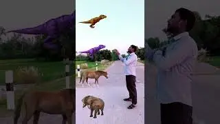 #vfx #football🏀#elephant #hours #lion #tiger #trending #viralshort #youtube #video #orange #animals🐘