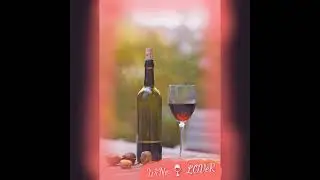 ... 🍷 wine lover..... 👌😍 status.        ...Hum agar piye to Hai Sharab...